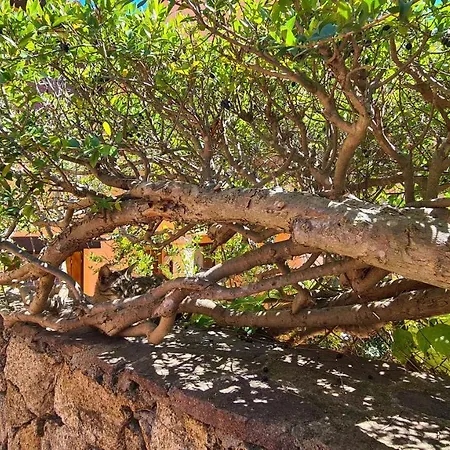 Apartament Appartamento- La Casa Del Mirto- *