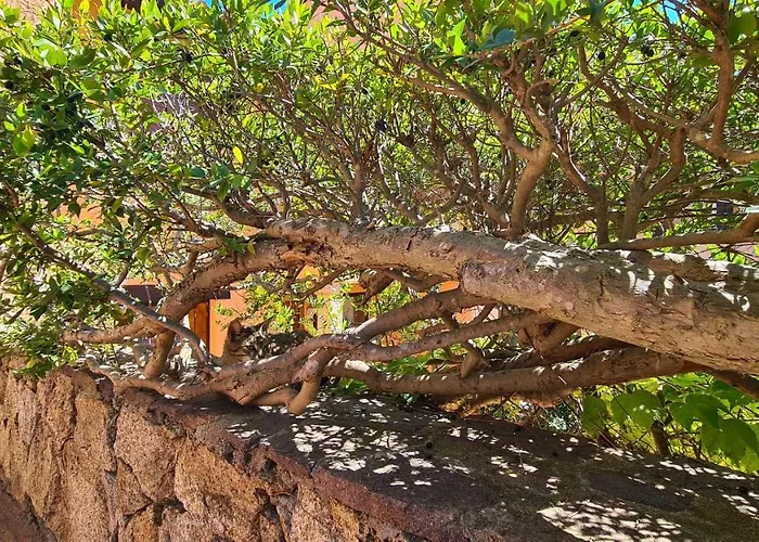 Apartament Appartamento- La Casa Del Mirto- *